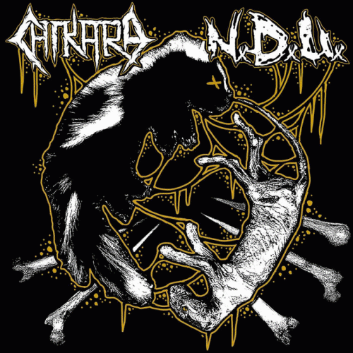 Chikara : Chikara - NxDxUx